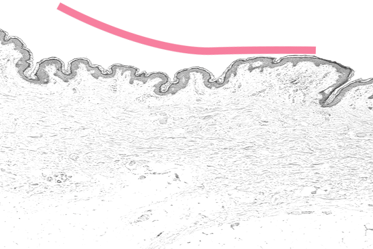 03-2_gif_164037.gif