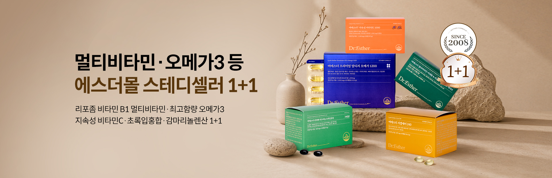 스테디셀러1+1 스테디셀러1+1
