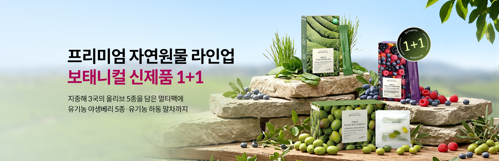 보태니컬 신제품
