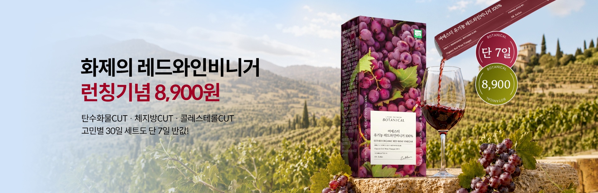 레드와인비니거 런칭