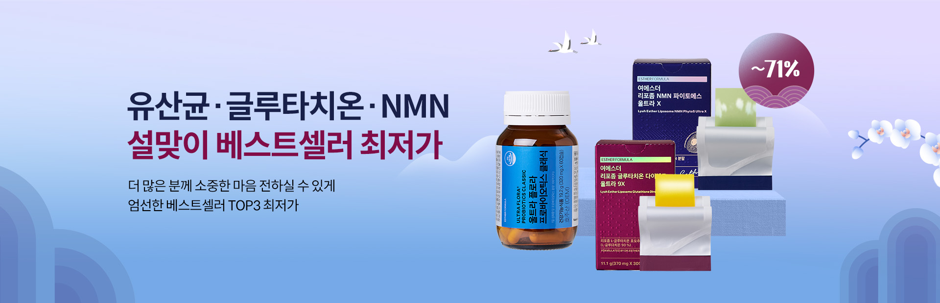 설 얼리버드 - 베스트셀러 설 얼리버드 - 베스트셀러