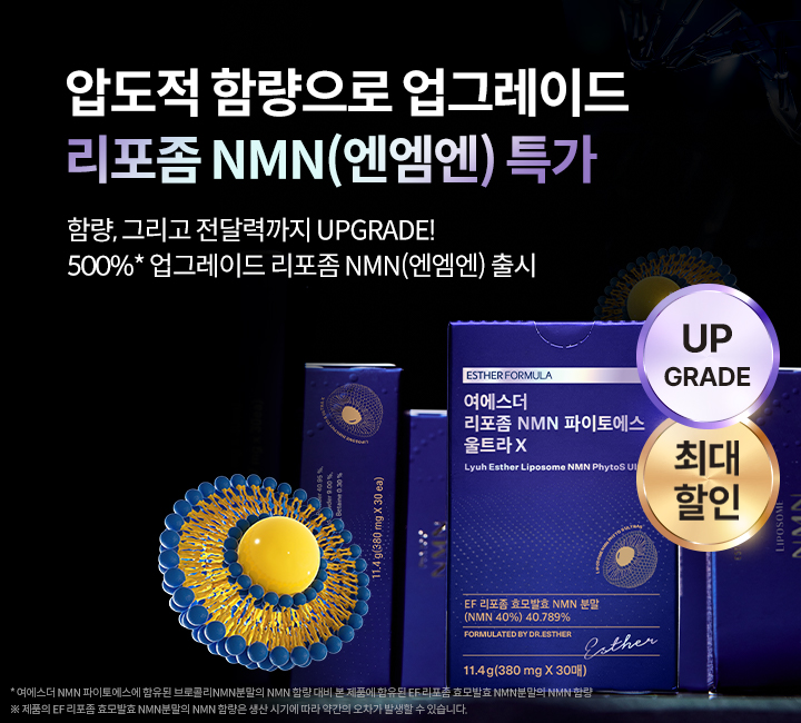 리포좀 엔엠엔 리포좀 엔엠엔